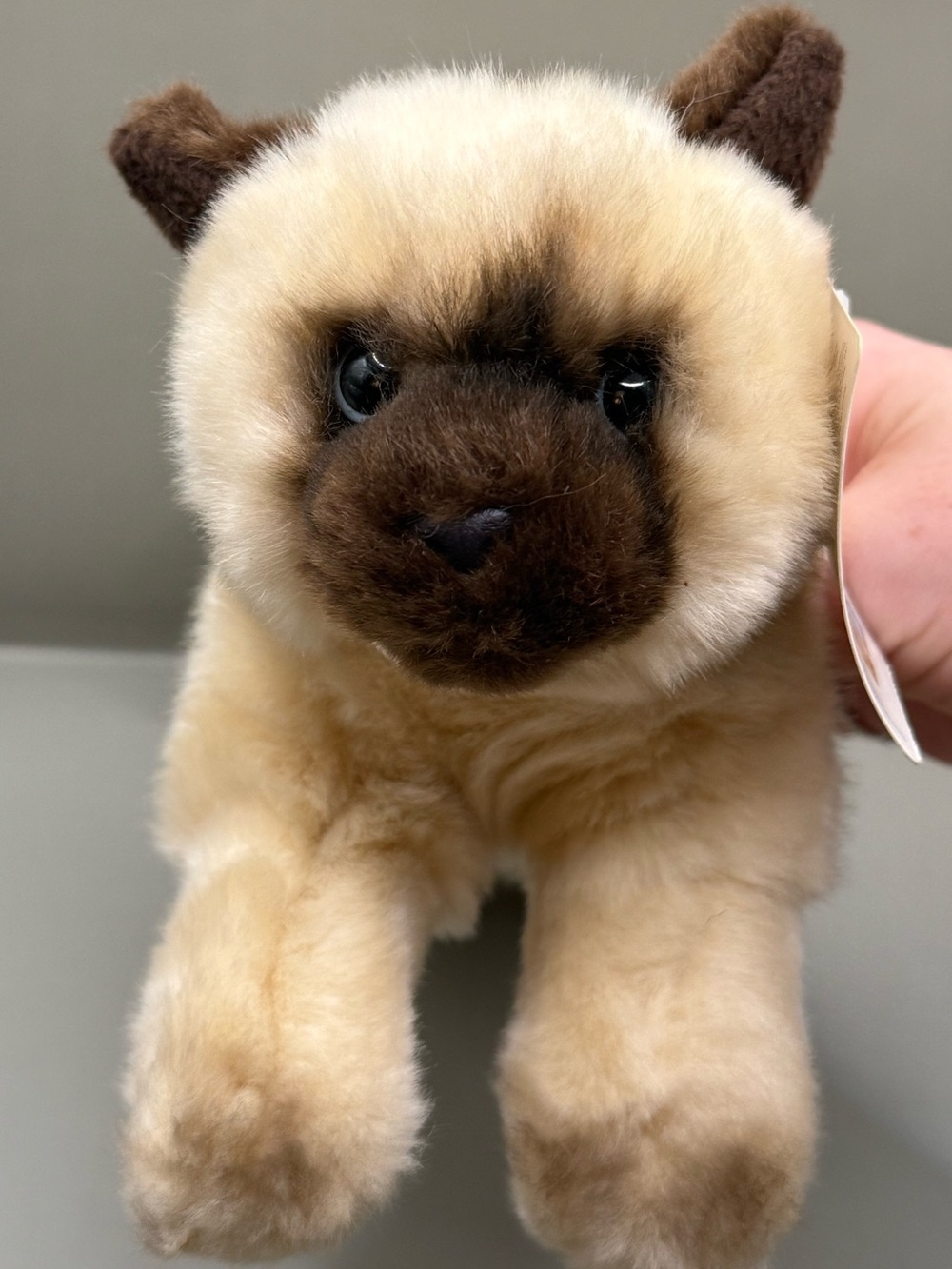NWT Vintage Animal Alley Laying Siamese Cat Plush Stuffed Animal Realistic